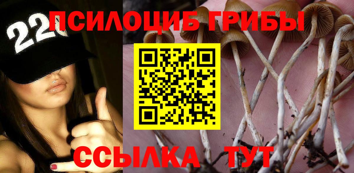 Галлюциногенные грибы мицелий Кимры