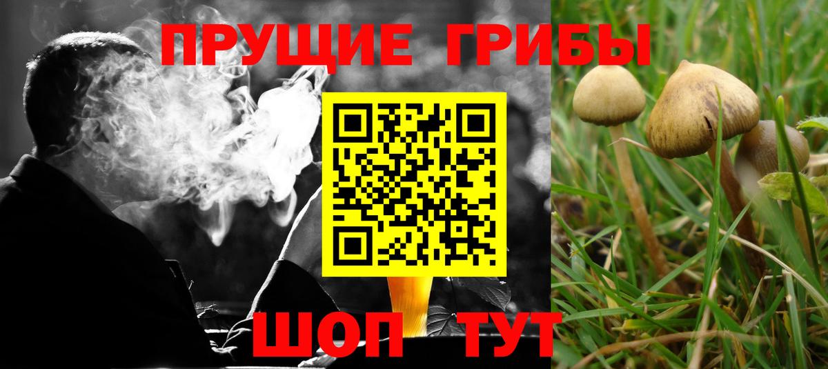 Галлюциногенные грибы Psilocybine cubensis  Псилоцибиновые грибы MAGIC MUSHROOMS  Вход с VPN  Кимры 